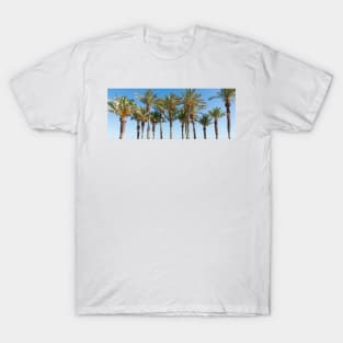 Row of tropical feeling palm trees against blue sky with luch green fronds. T-Shirt